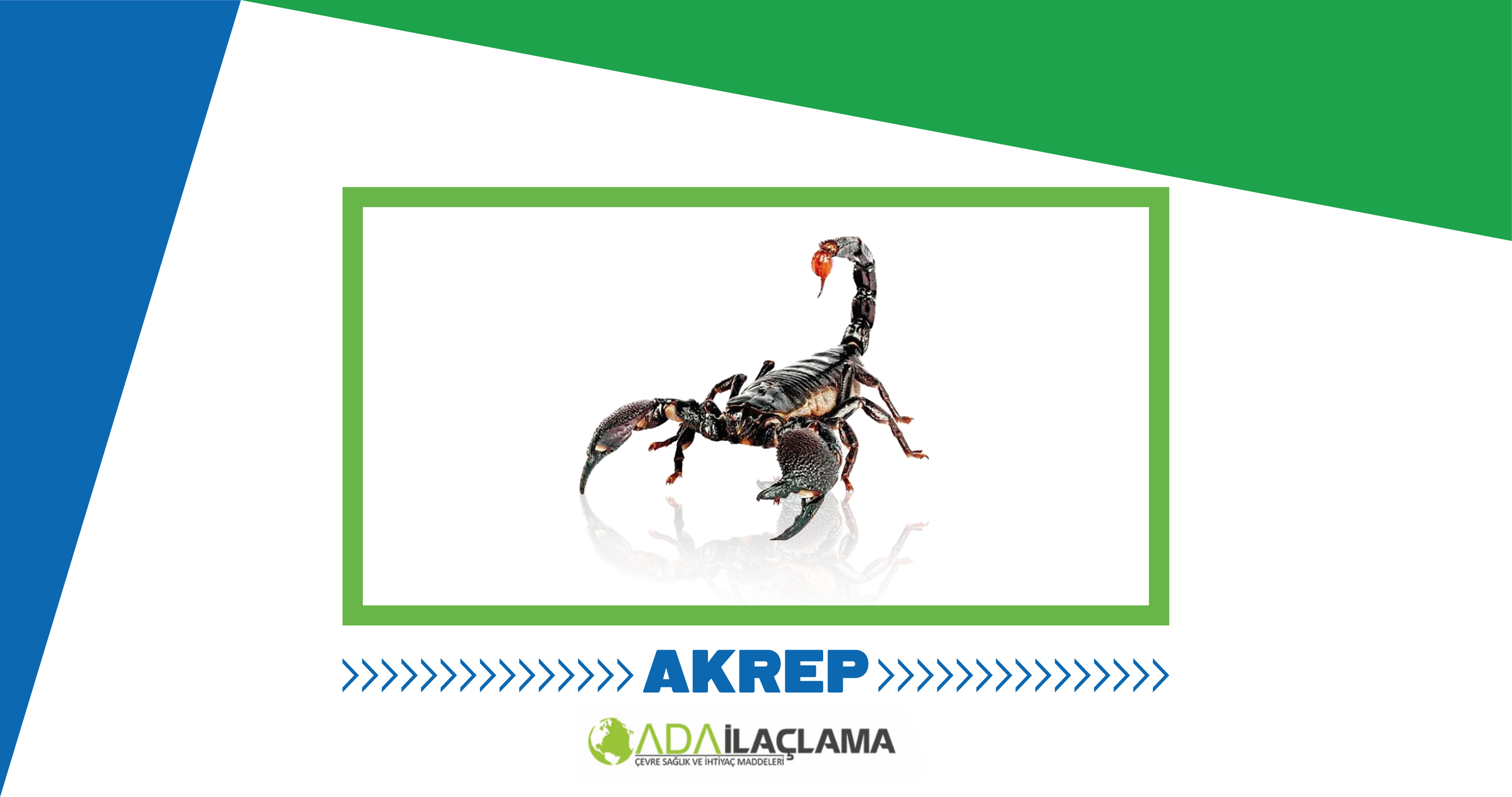 AKREP İLAÇLAMA