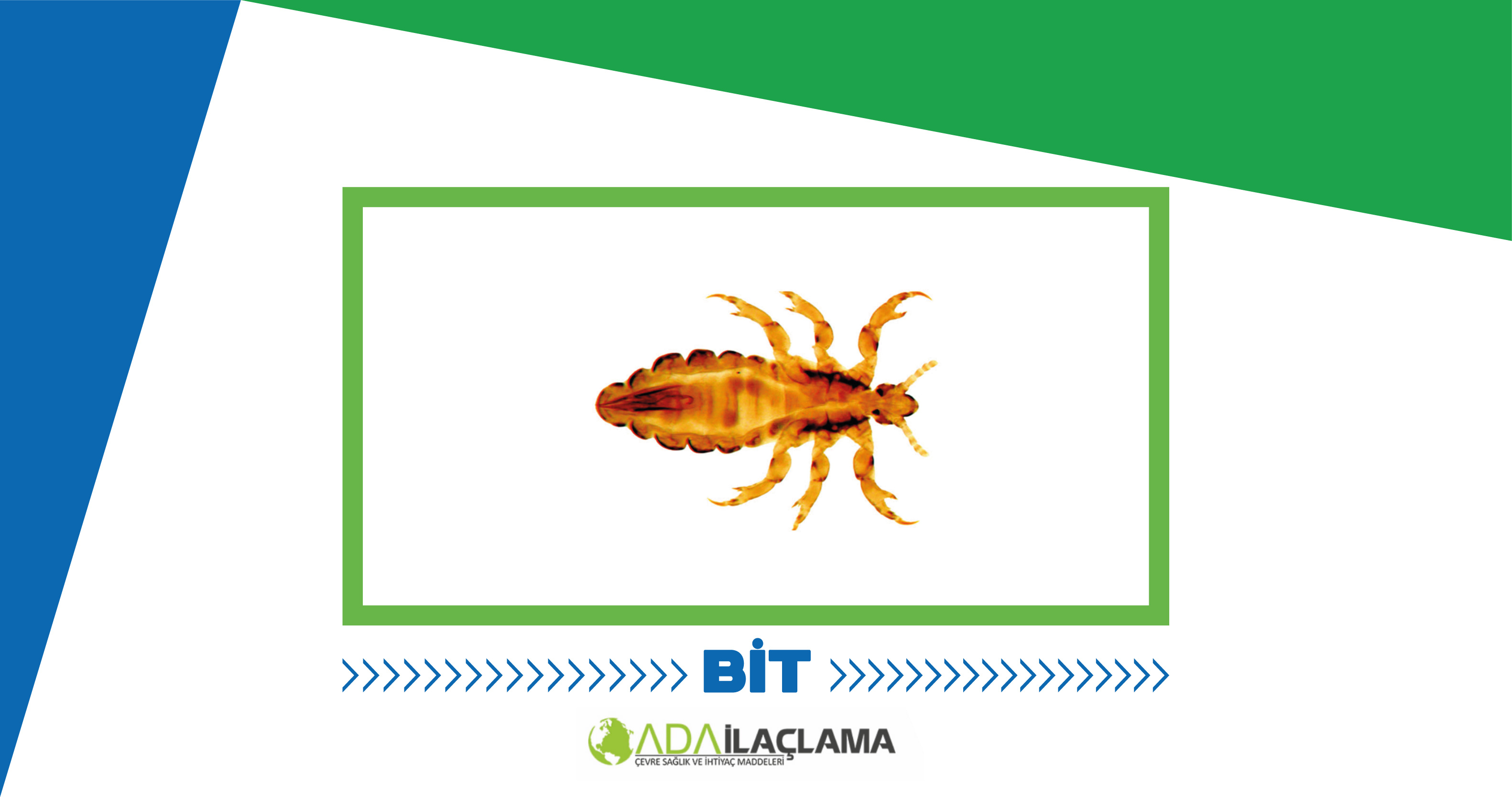 BİT İLAÇLAMA
