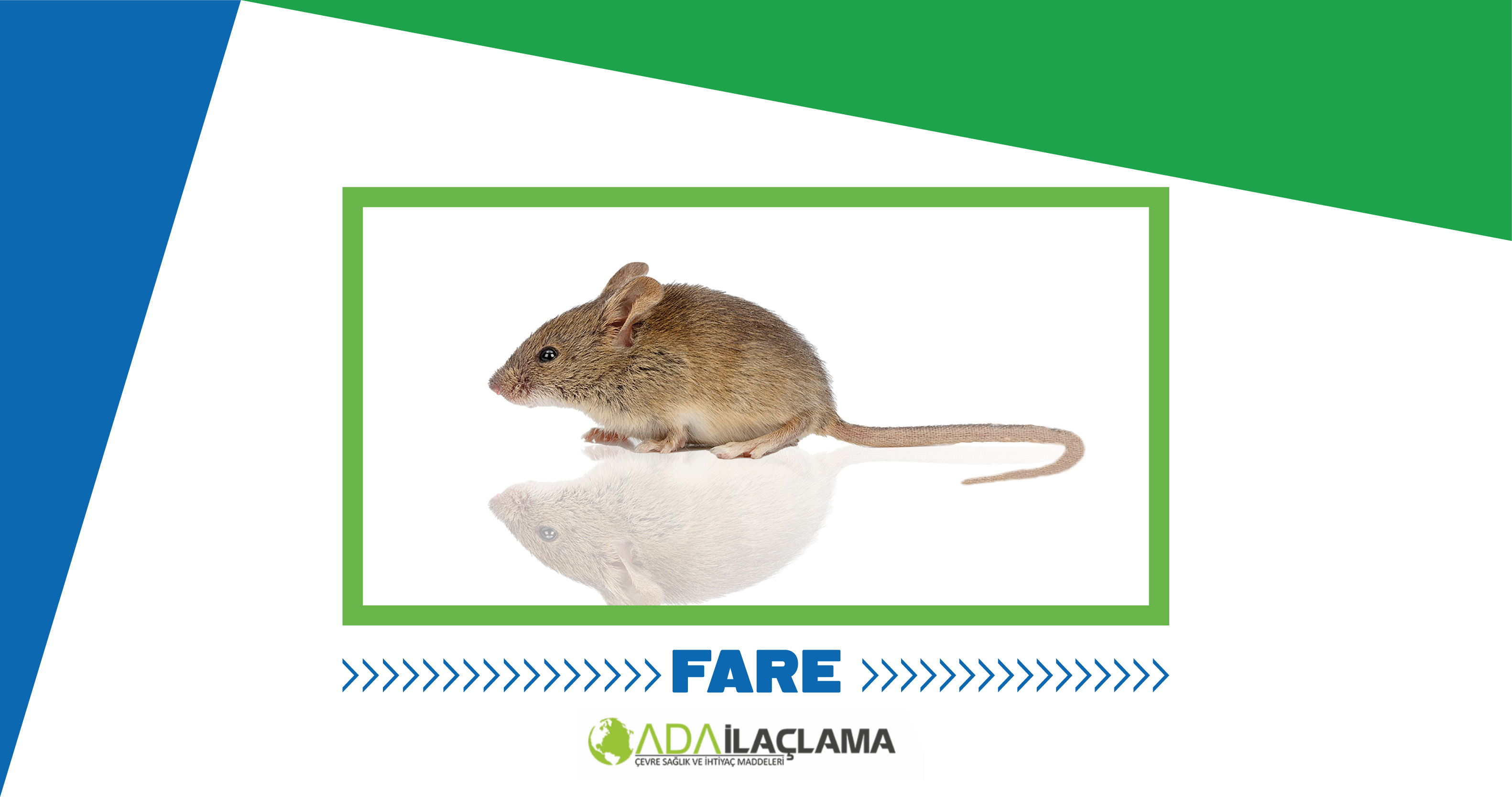 FARE İLAÇLAMA