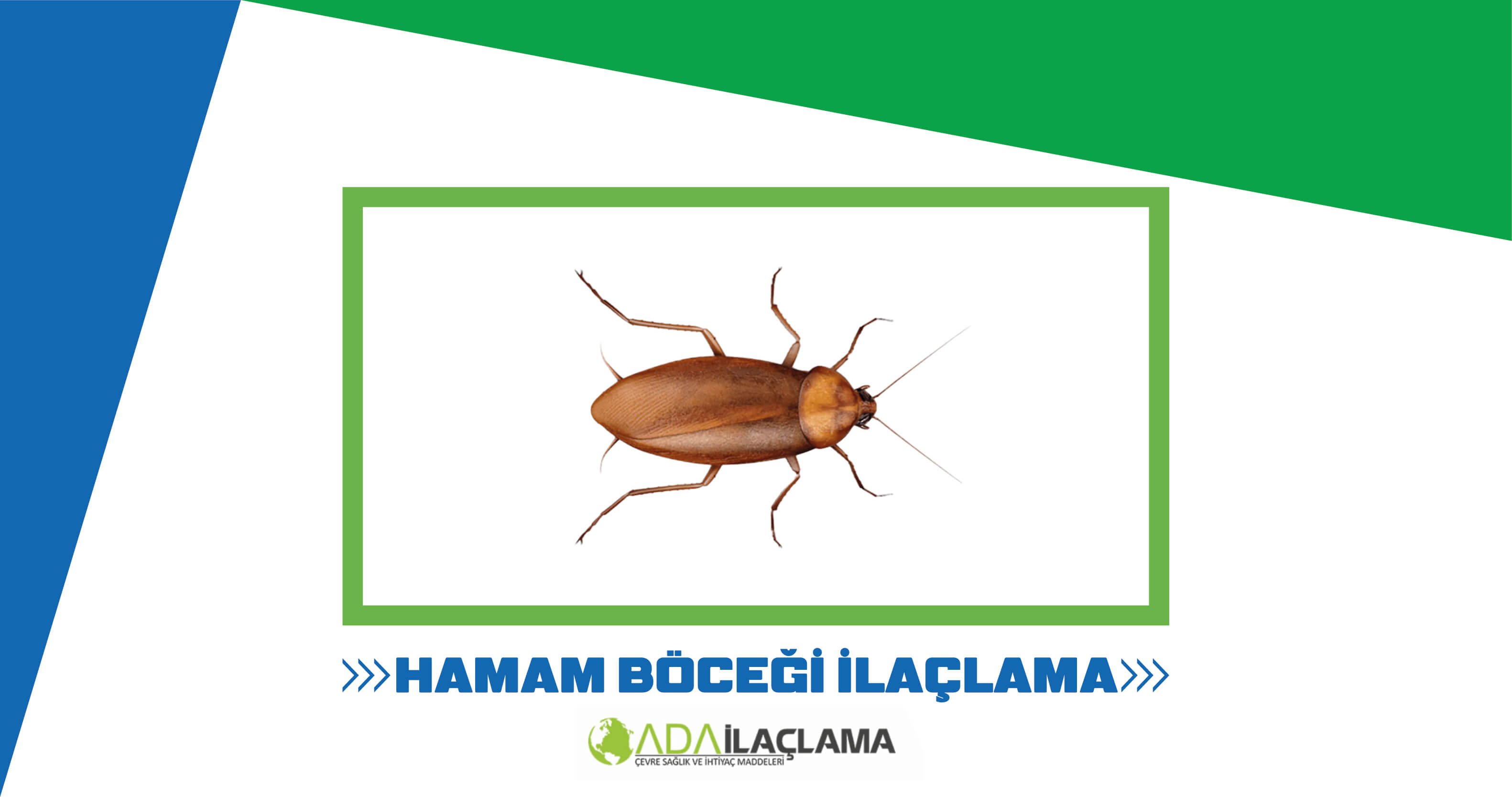 HAMAM BÖCEĞİ İLAÇLAMA