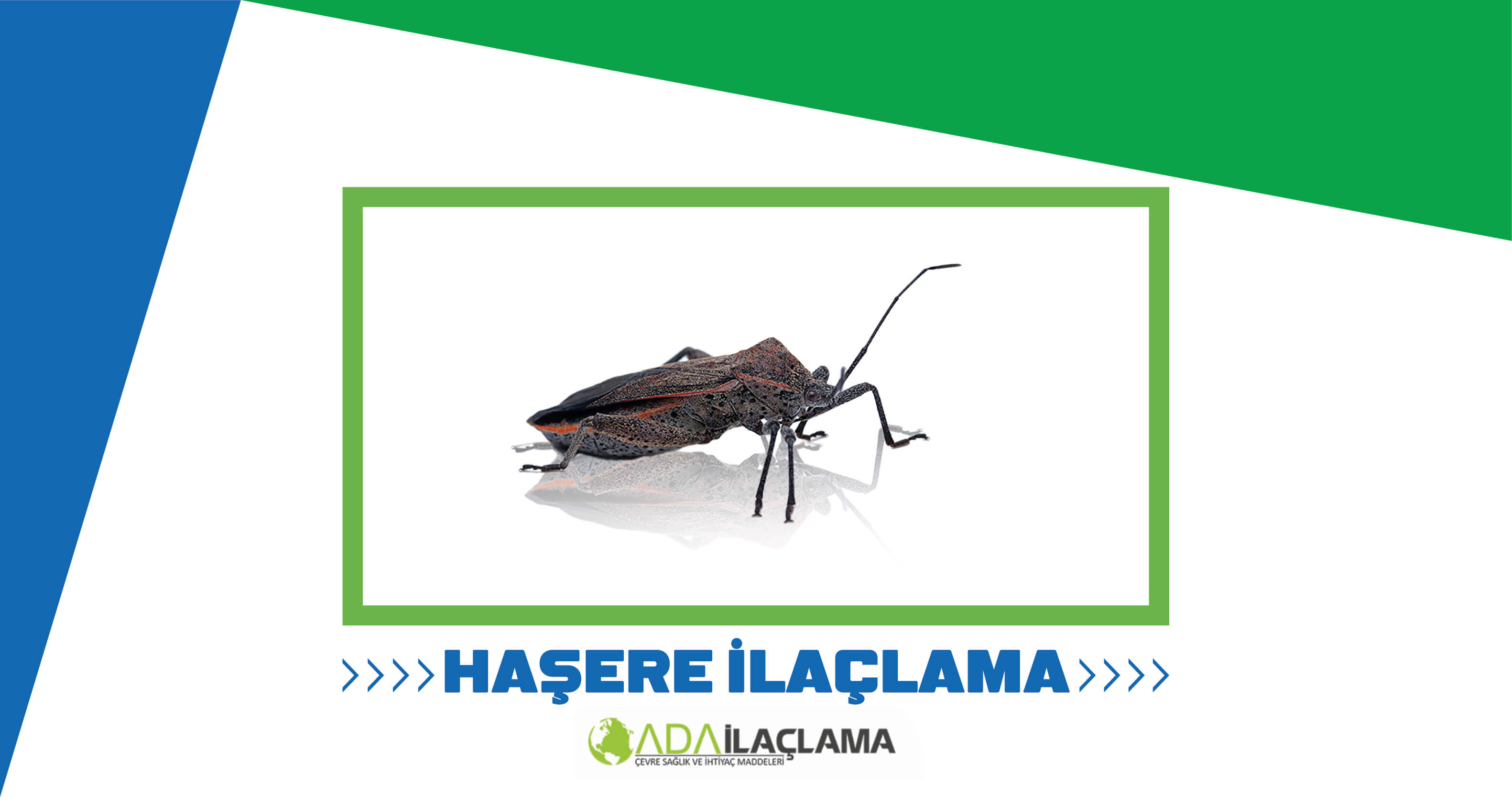 HAŞERE İLAÇLAMA