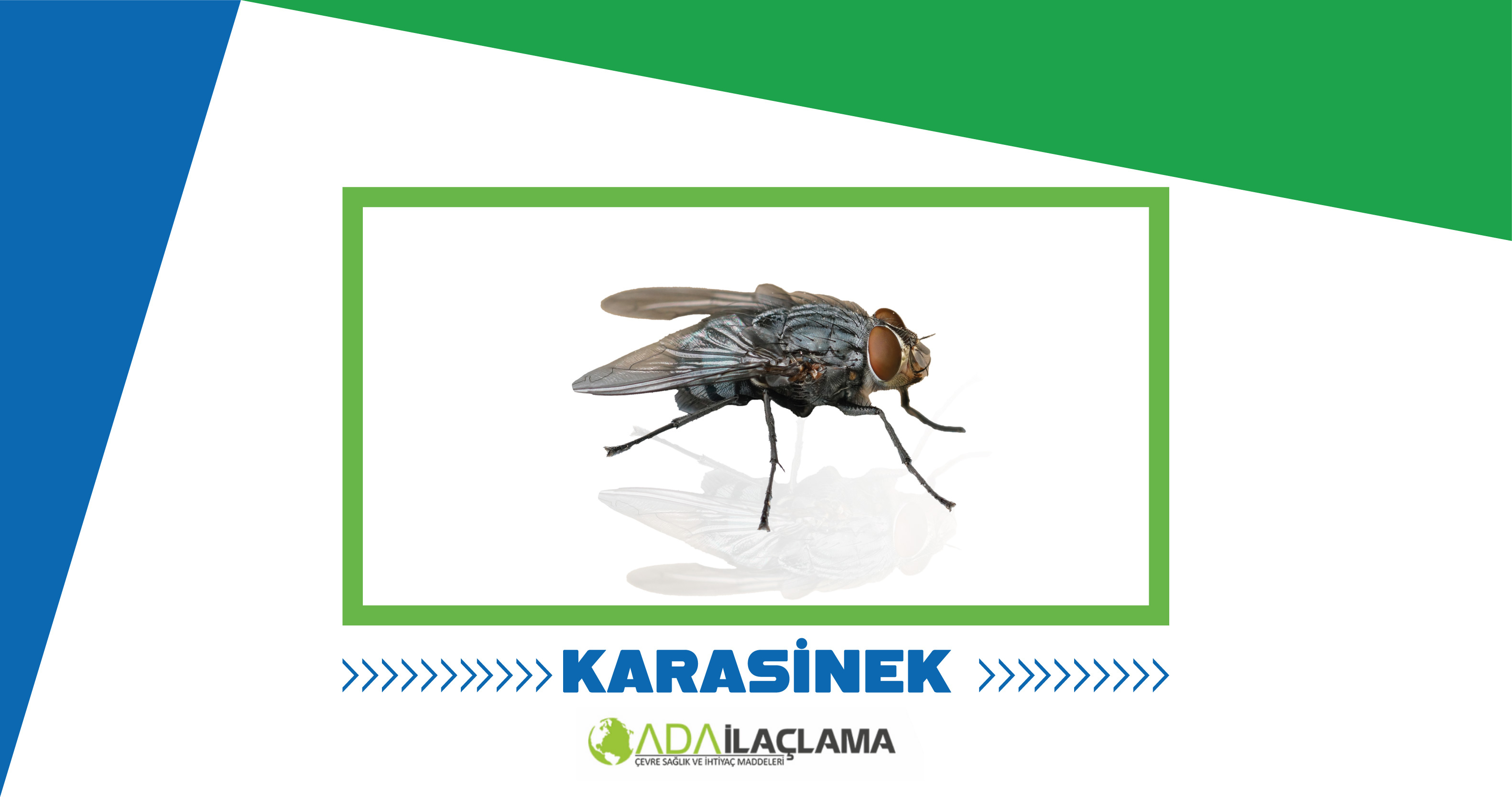 KARASİNEK İLAÇLAMA