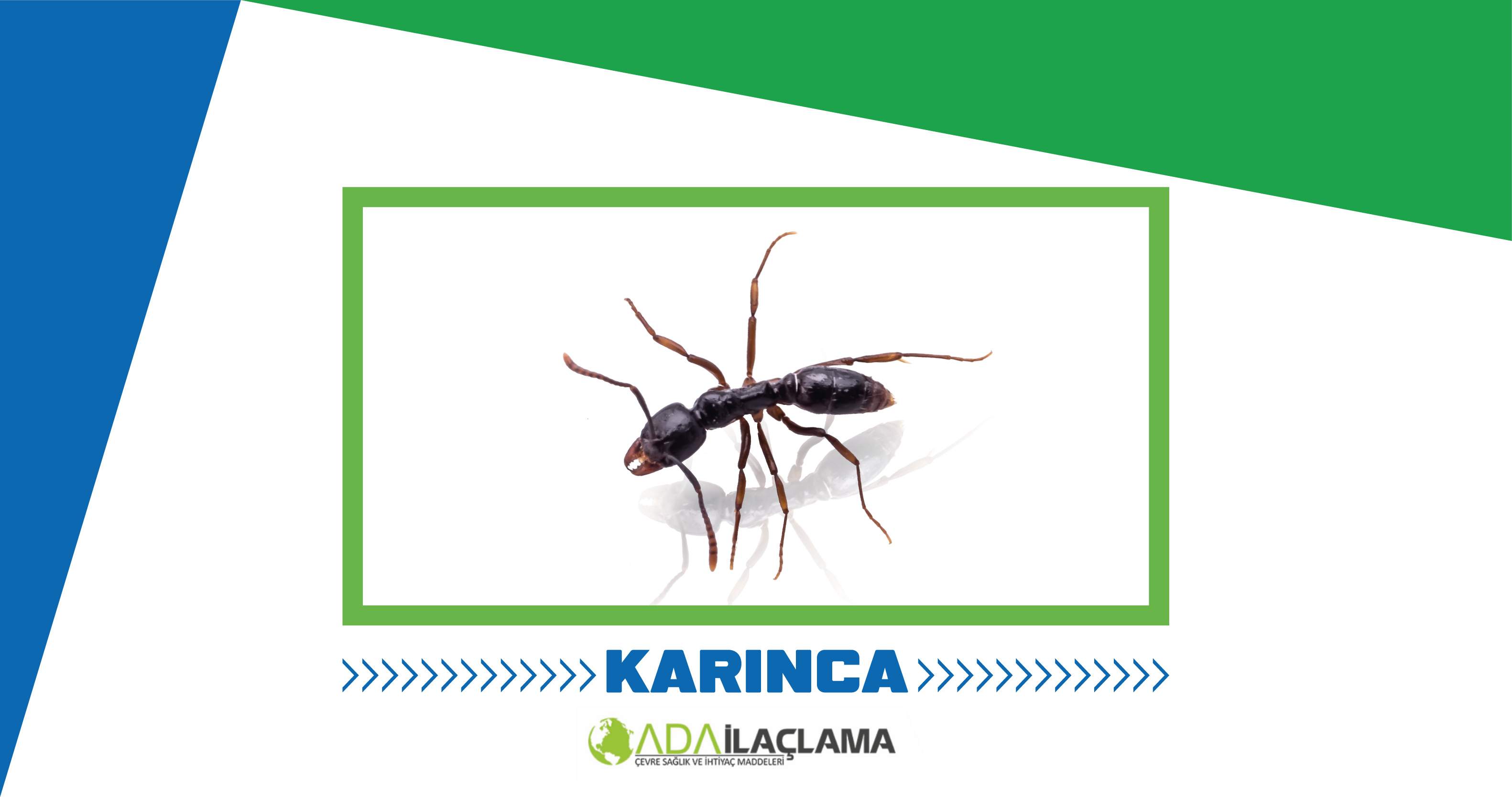 KARINCA İLAÇLAMA