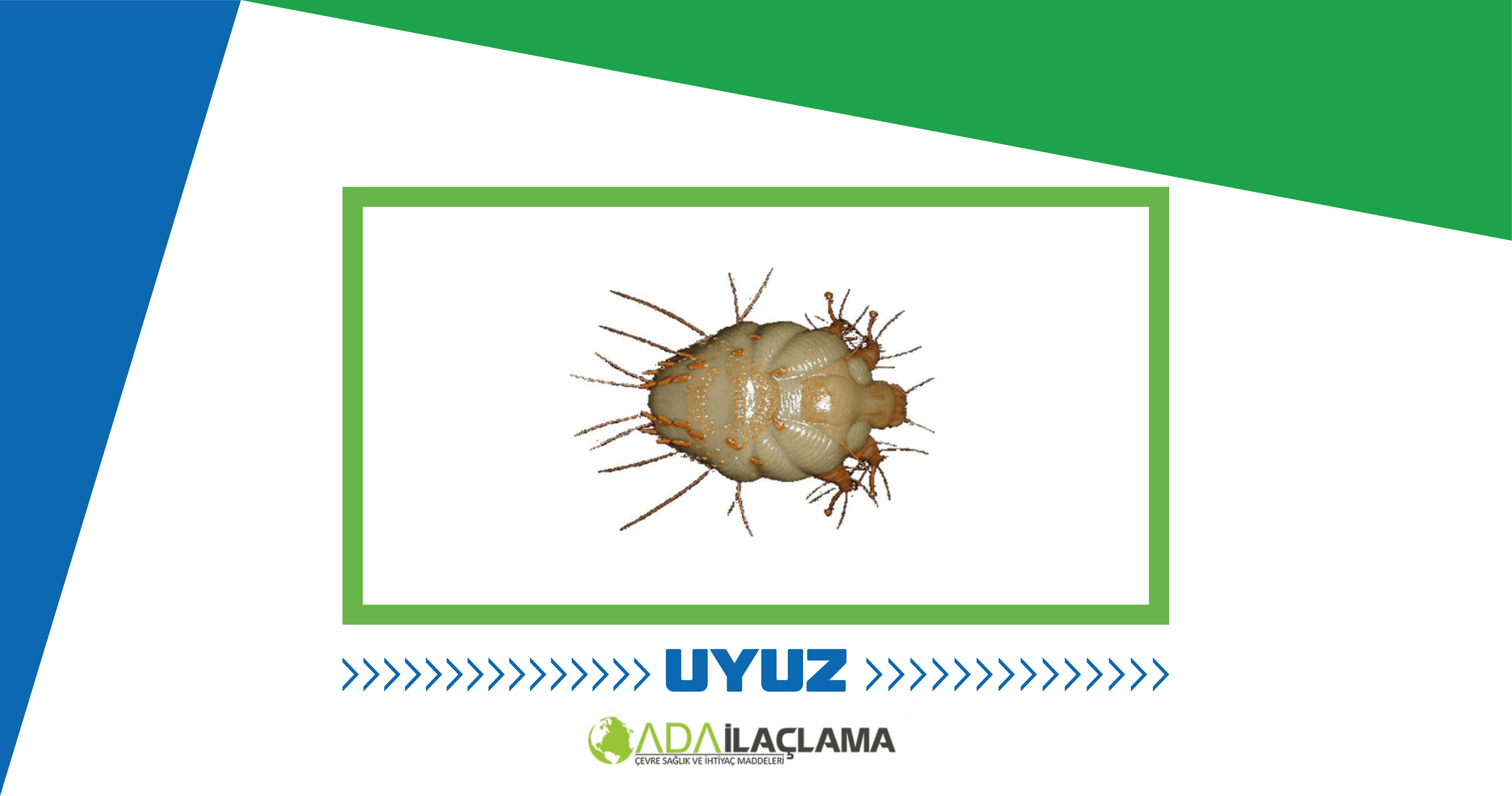 UYUZ İLAÇLAMA